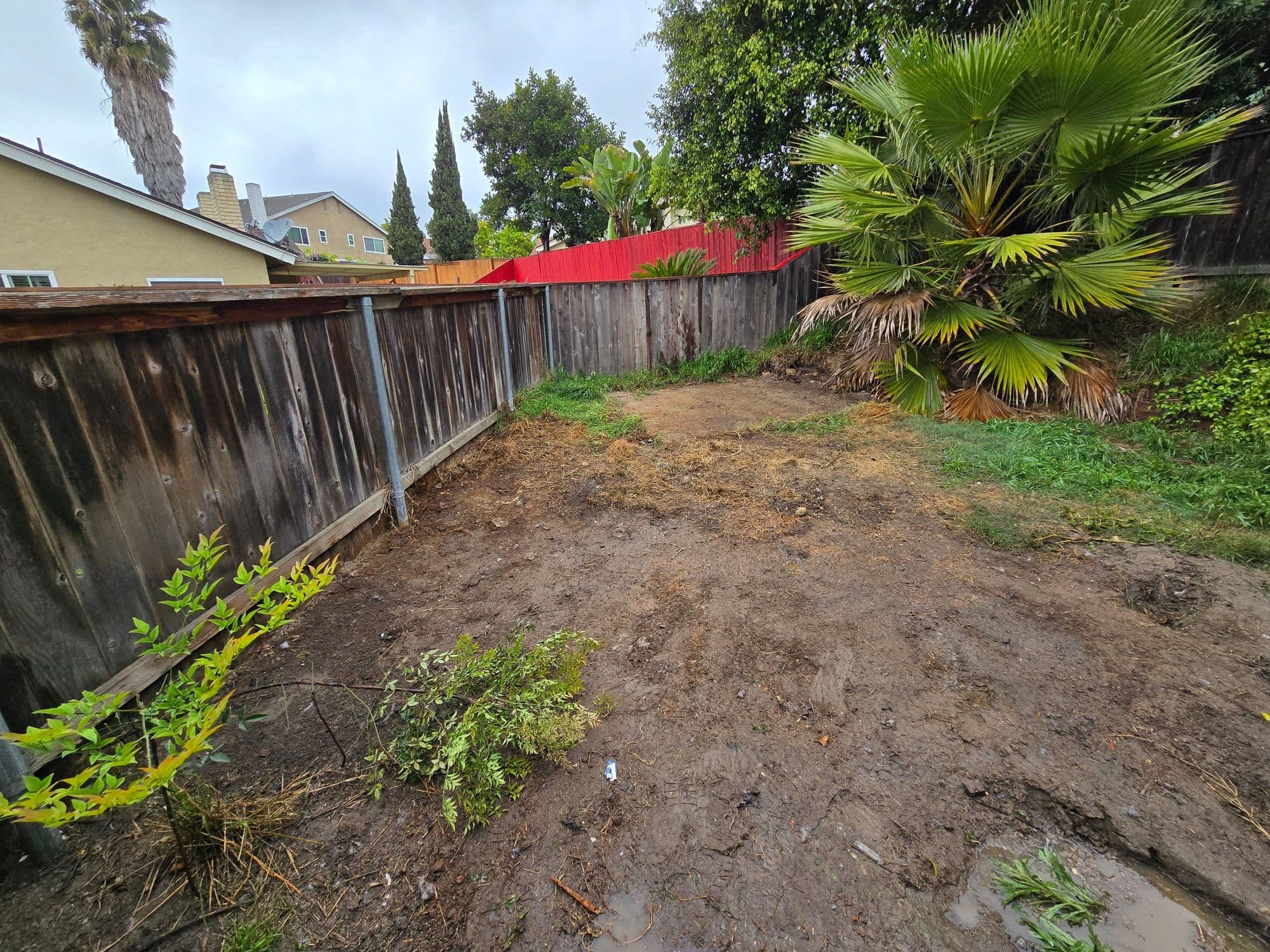 Project Backyard Debris Removal in Chula Vista image