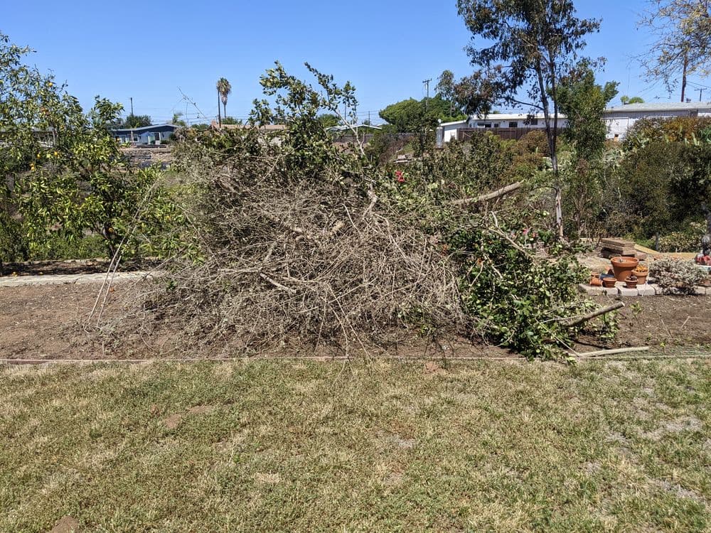 Piled branches and debris in a sunny garden with green grass and trees in the background.
